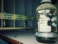 outlast_03