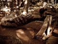bosque_tallado2