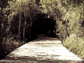 camino