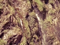 cascada2