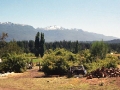 nahuel